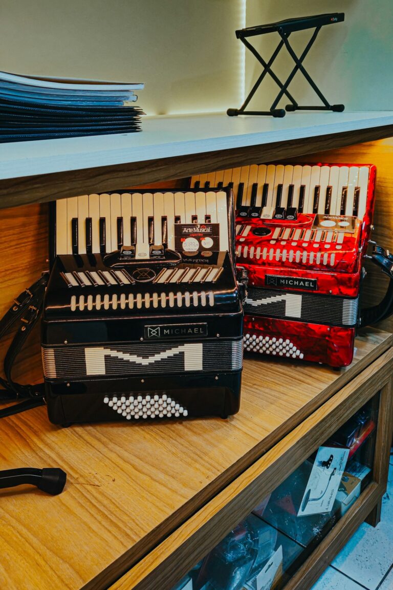 Dicas de Manutenção para Seu Acordeon